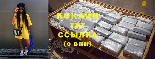 прущие грибы Михайловск