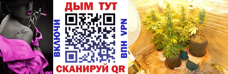 Бошки Шишки White Widow  где продают наркотики  Барабинск 